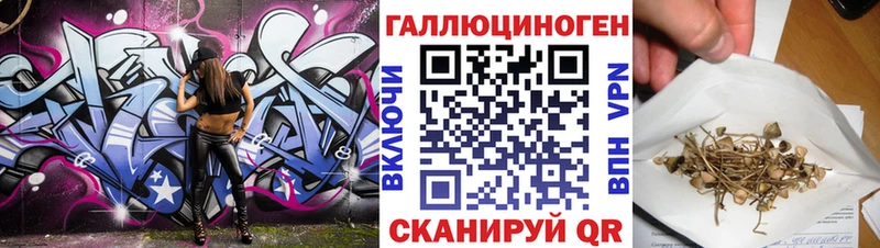 Псилоцибиновые грибы MAGIC MUSHROOMS  купить закладку  Хадыженск 
